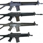 Sig 550 picture